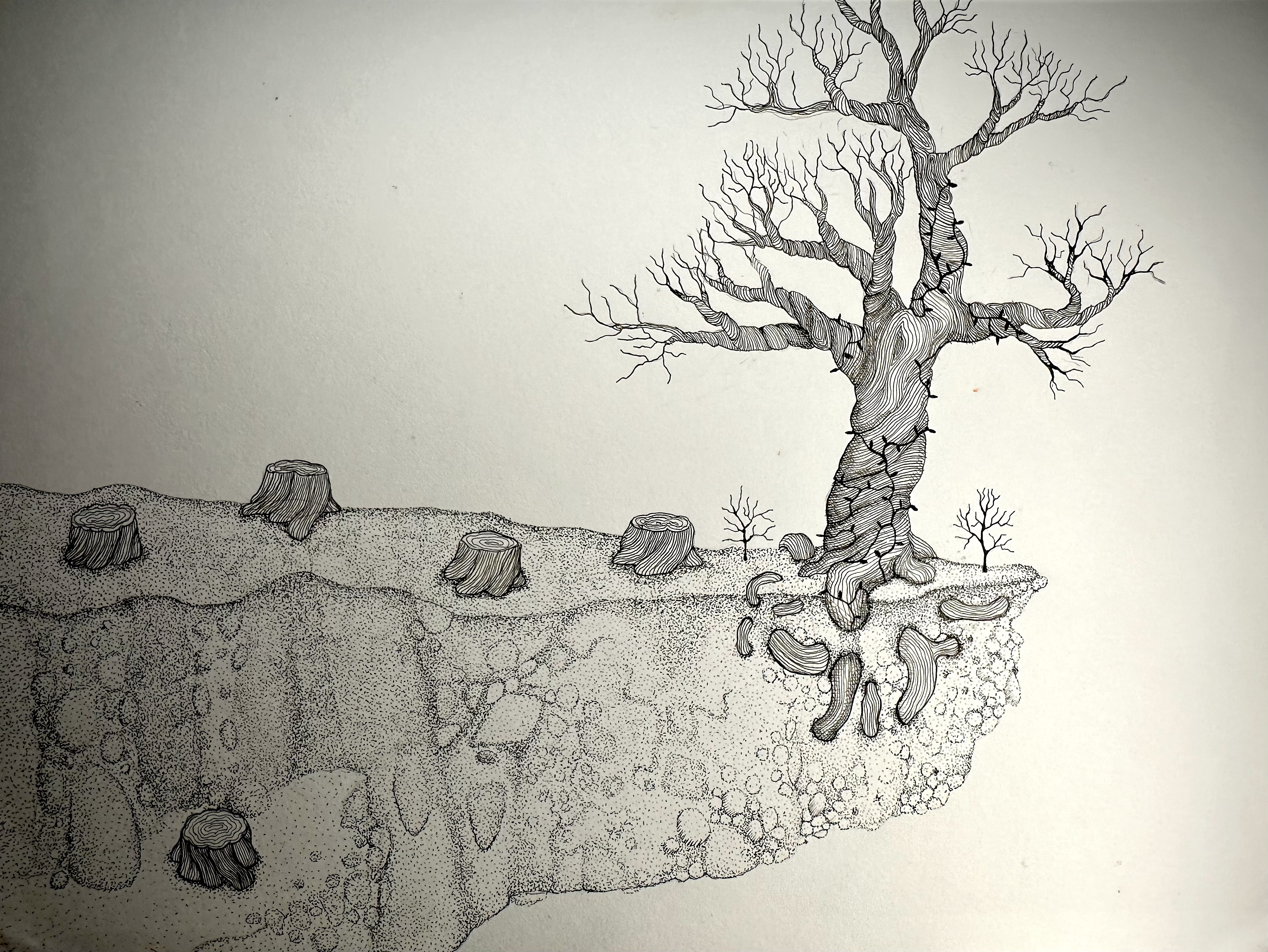 Cliff of Inevitability: a Micron pen drawing using stippling, hatching, erosion, and isolation to explore unavoidable change.