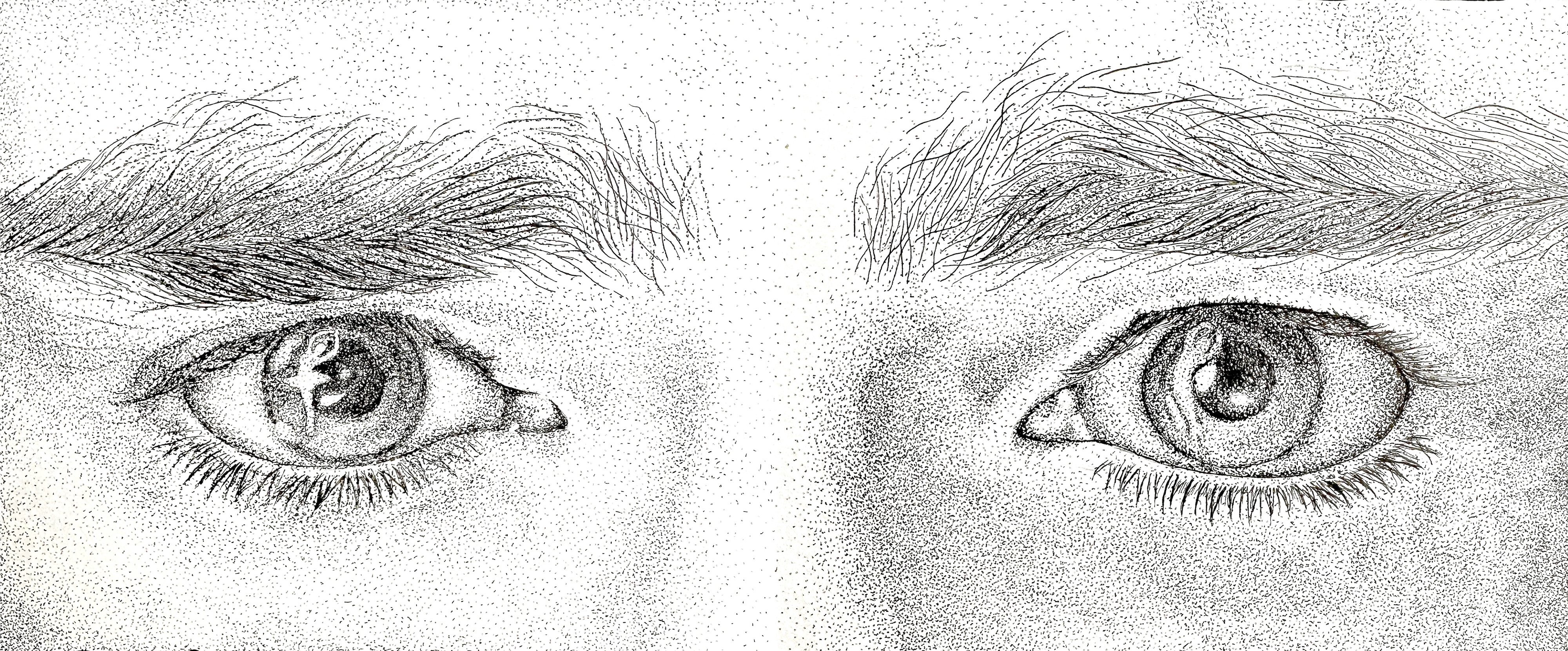 Dancer’s Eyes: a stippled pen drawing exploring beauty, conflict, and the personal experience of being a male dancer.