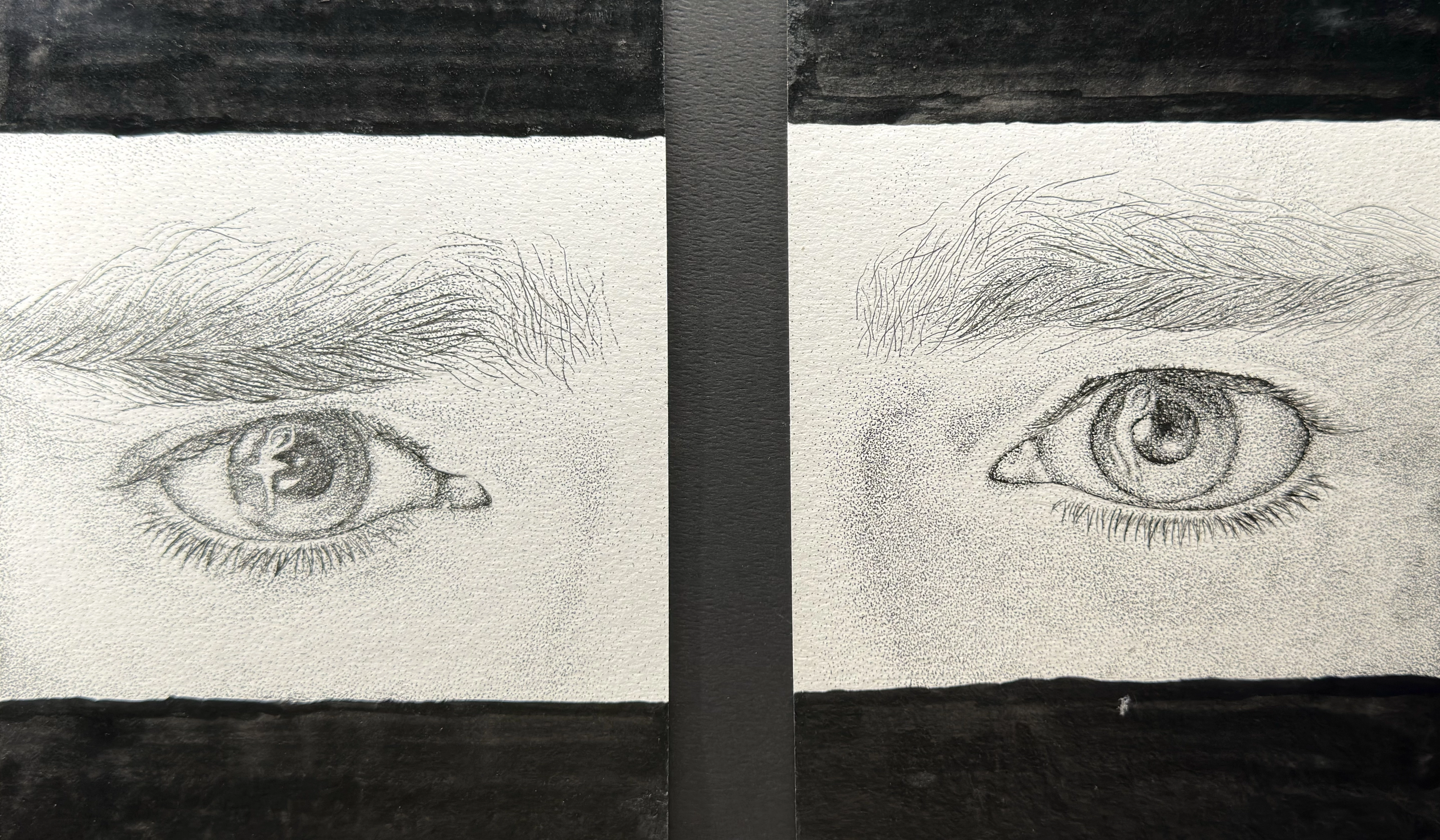 Dancer’s Eyes: a black-and-white diptych showing two close-up eyes separated by a wide black vertical strip, with fine lashes, stippled skin, and different patterned irises.
