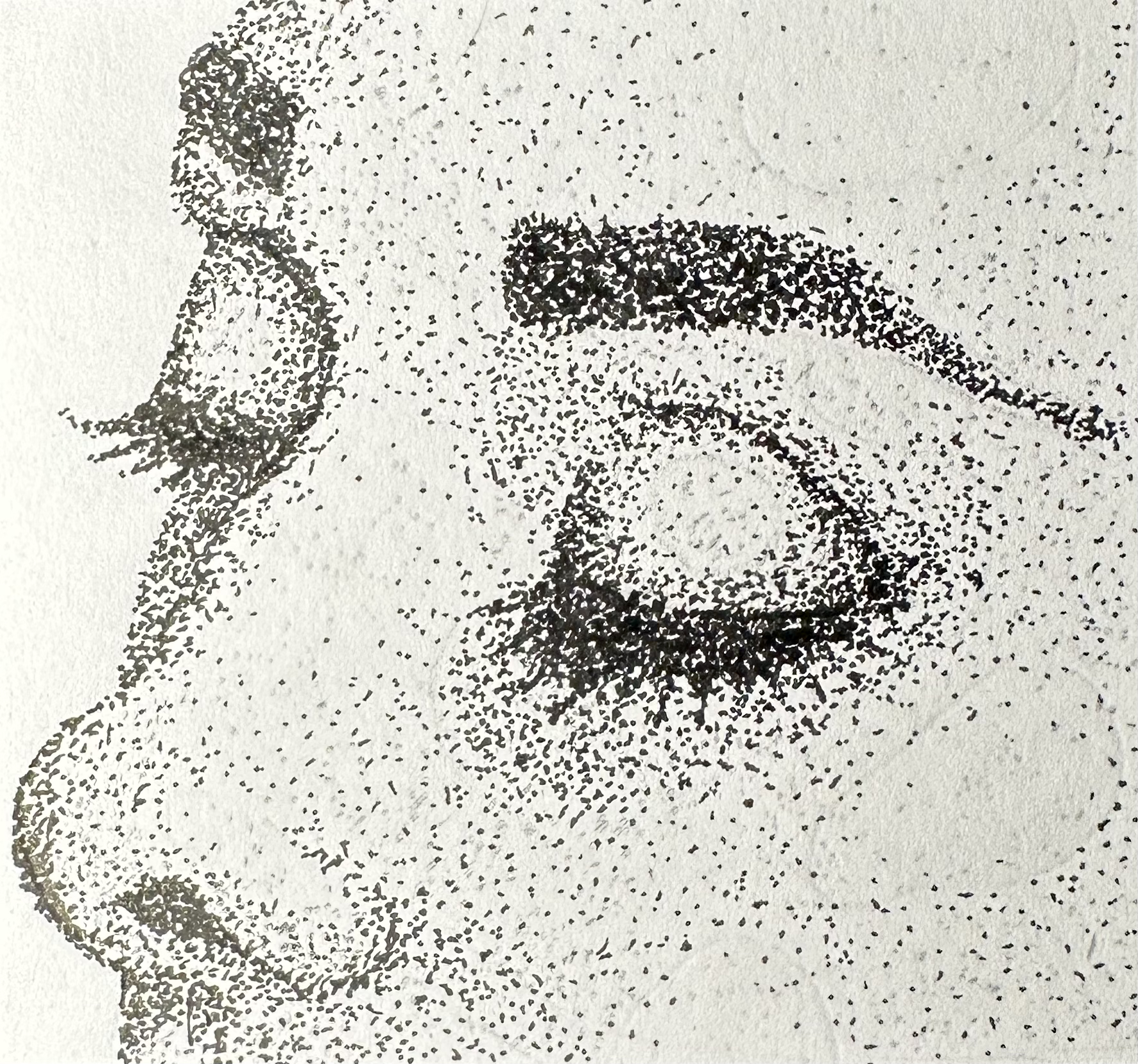 First Stippling Work: a Micron pen study documenting his first experiment with building form and value through stippled marks.