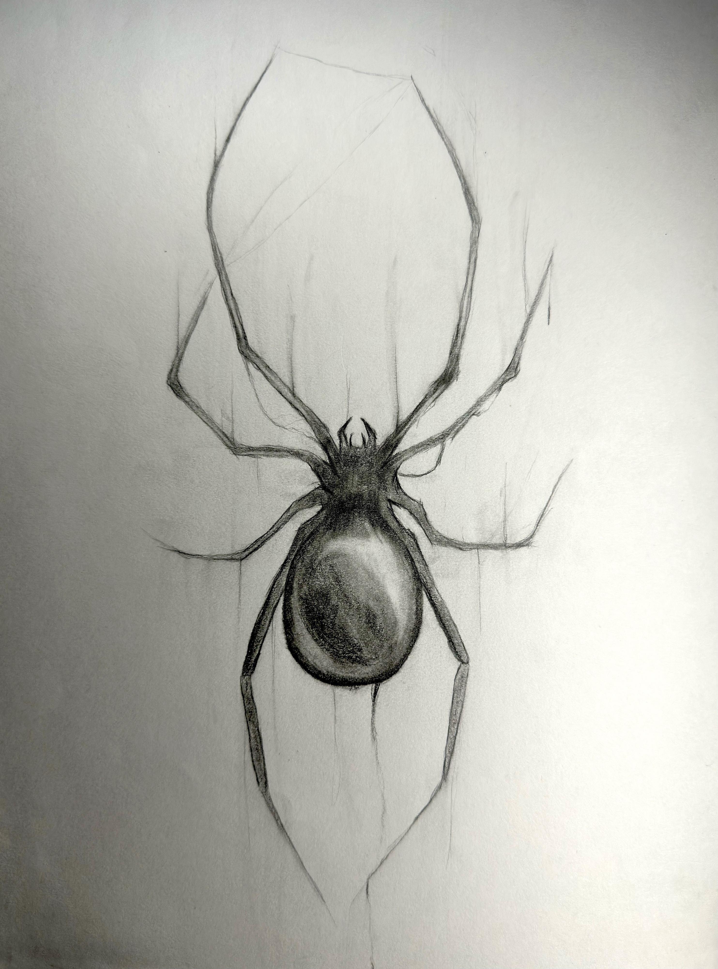 Spider Sketch: an imaginative graphite drawing using controlled shading and detailed form to render an arachnid subject.